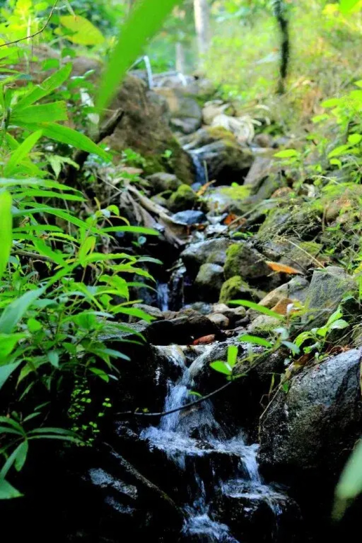 Himavana Resort by Rai Hospitality