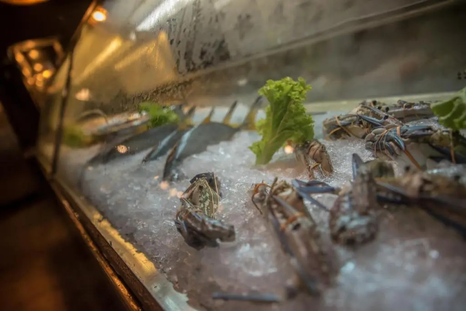 Sea View Fully Furnished 2BR Luxury Apartment