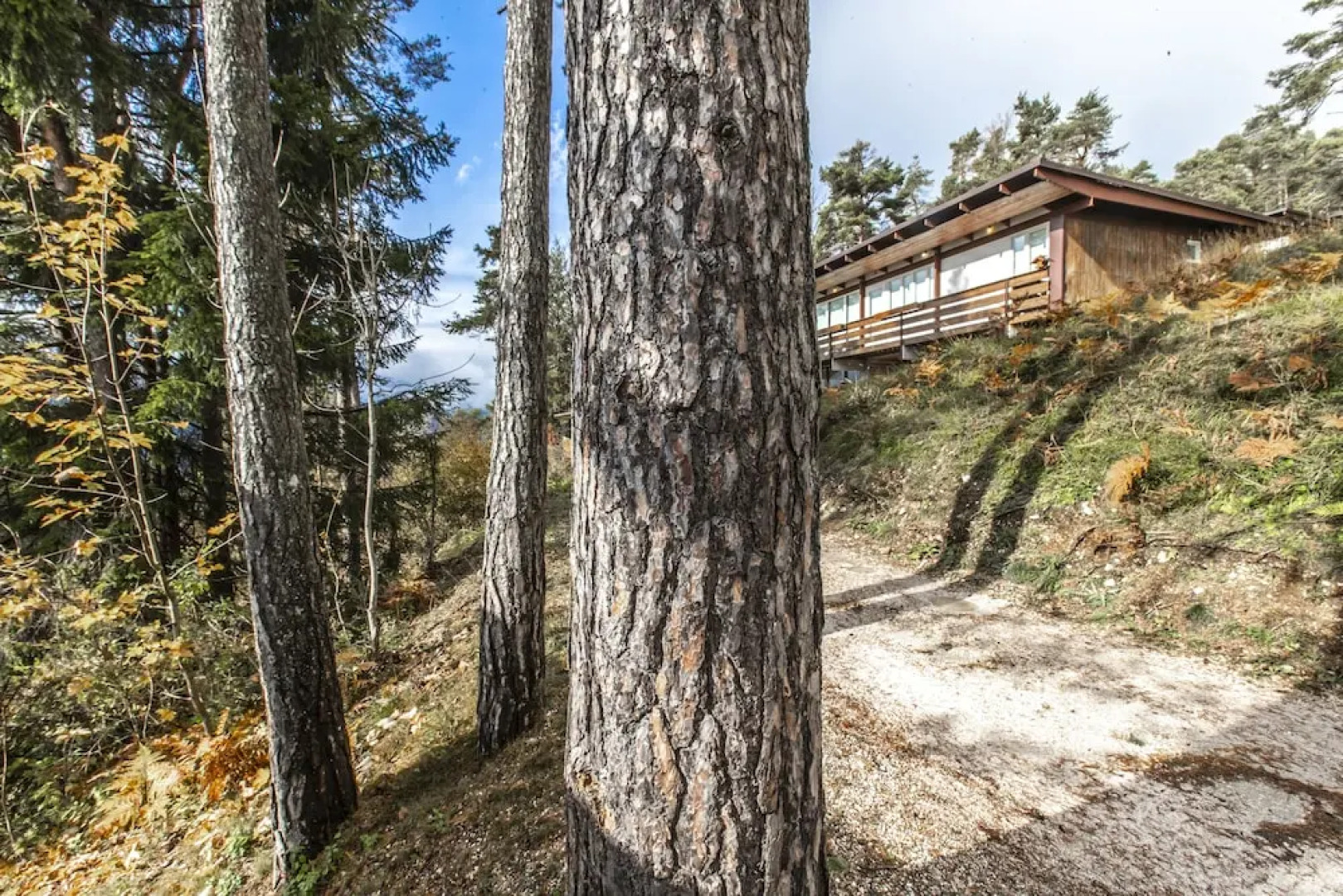 Dolomiti Mountains' View Chalet