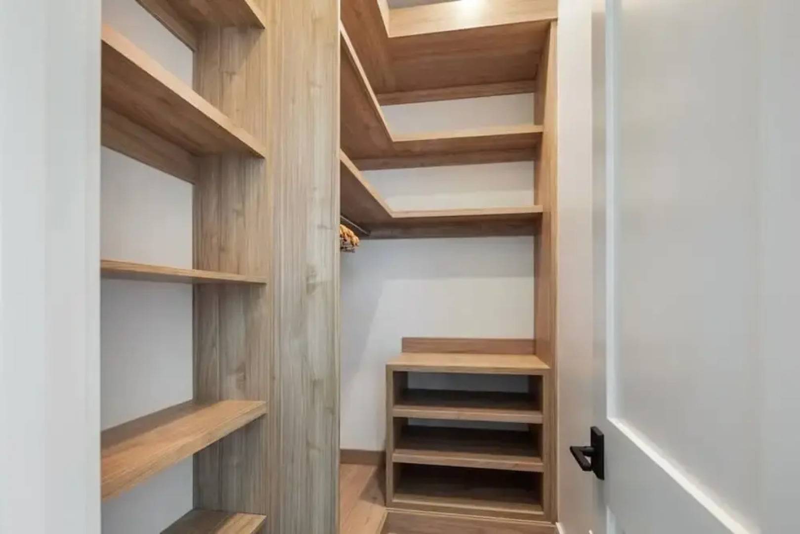 New Altair House by Brightwild Pool Pets