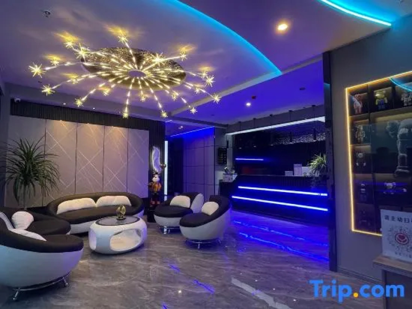 Pomegranate Electric Sports Hotel