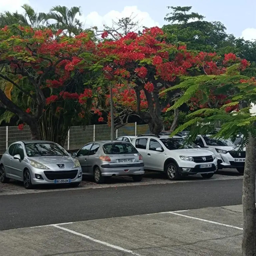 Studio Hibiscus Le Kayela