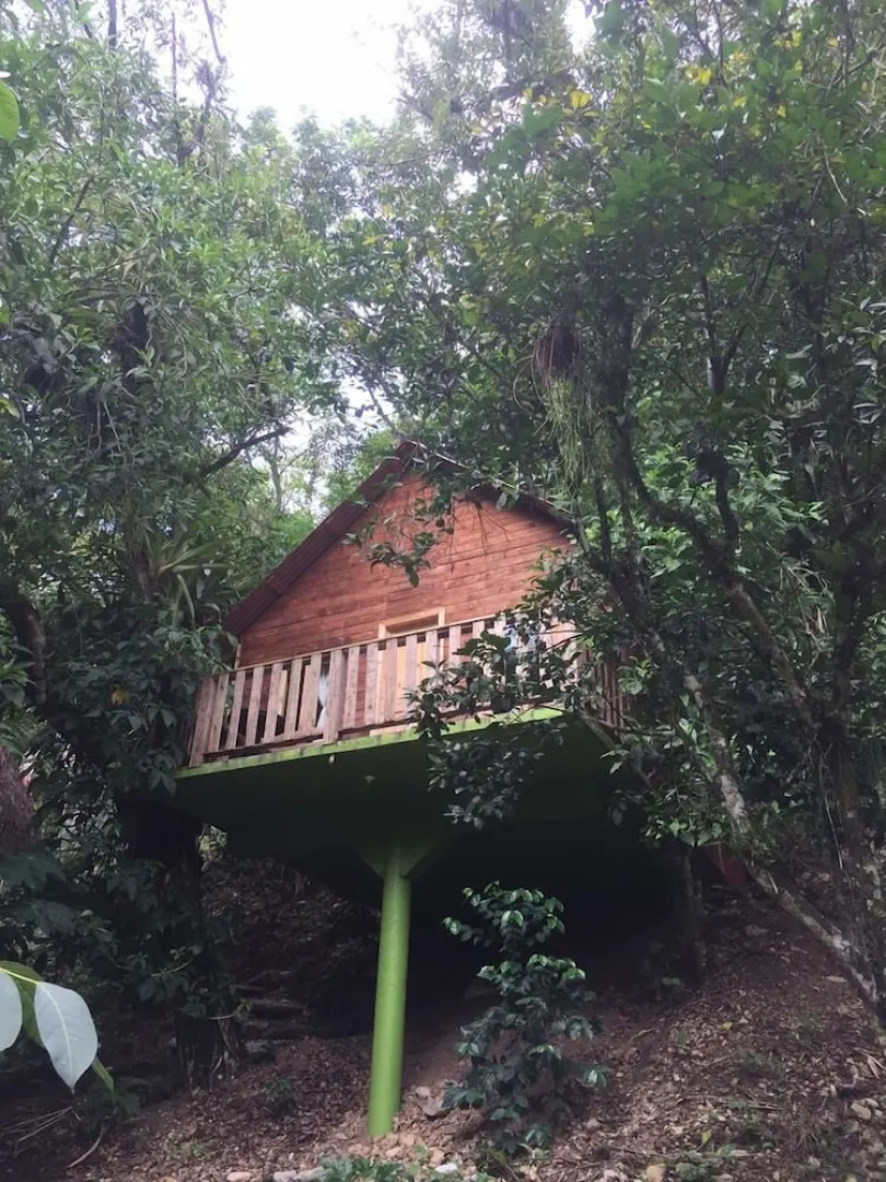 Cabañas y Casas del Árbol La Huerta