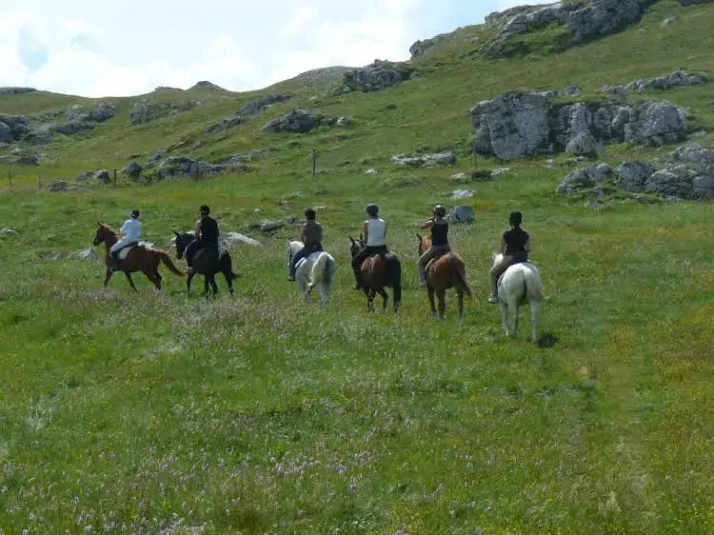 Résidence Le Vercors Park
