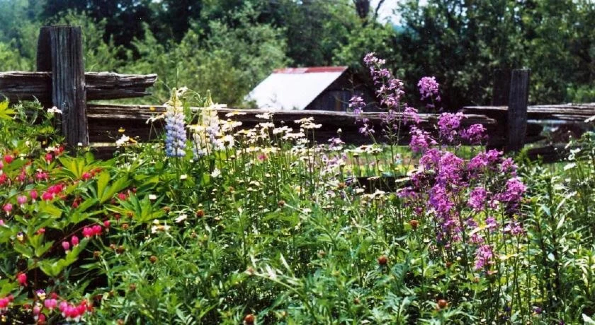 Au Domaine Gite Vallée des Roseaux