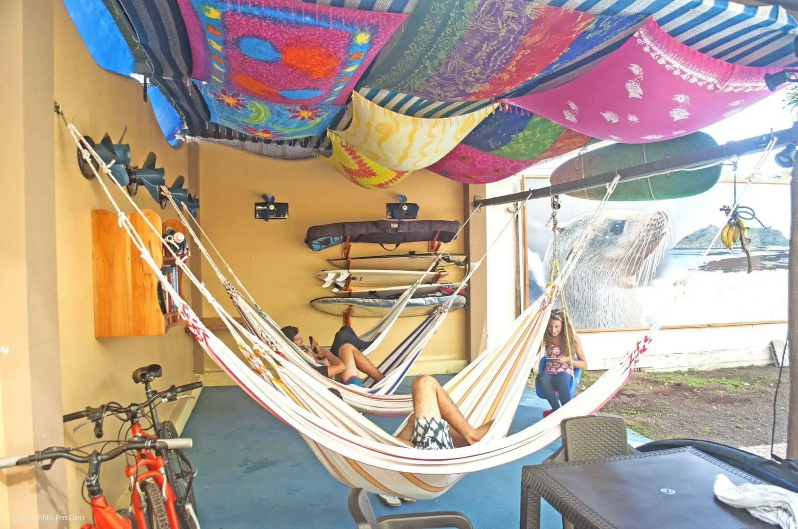 Galapagos Eco Friendly