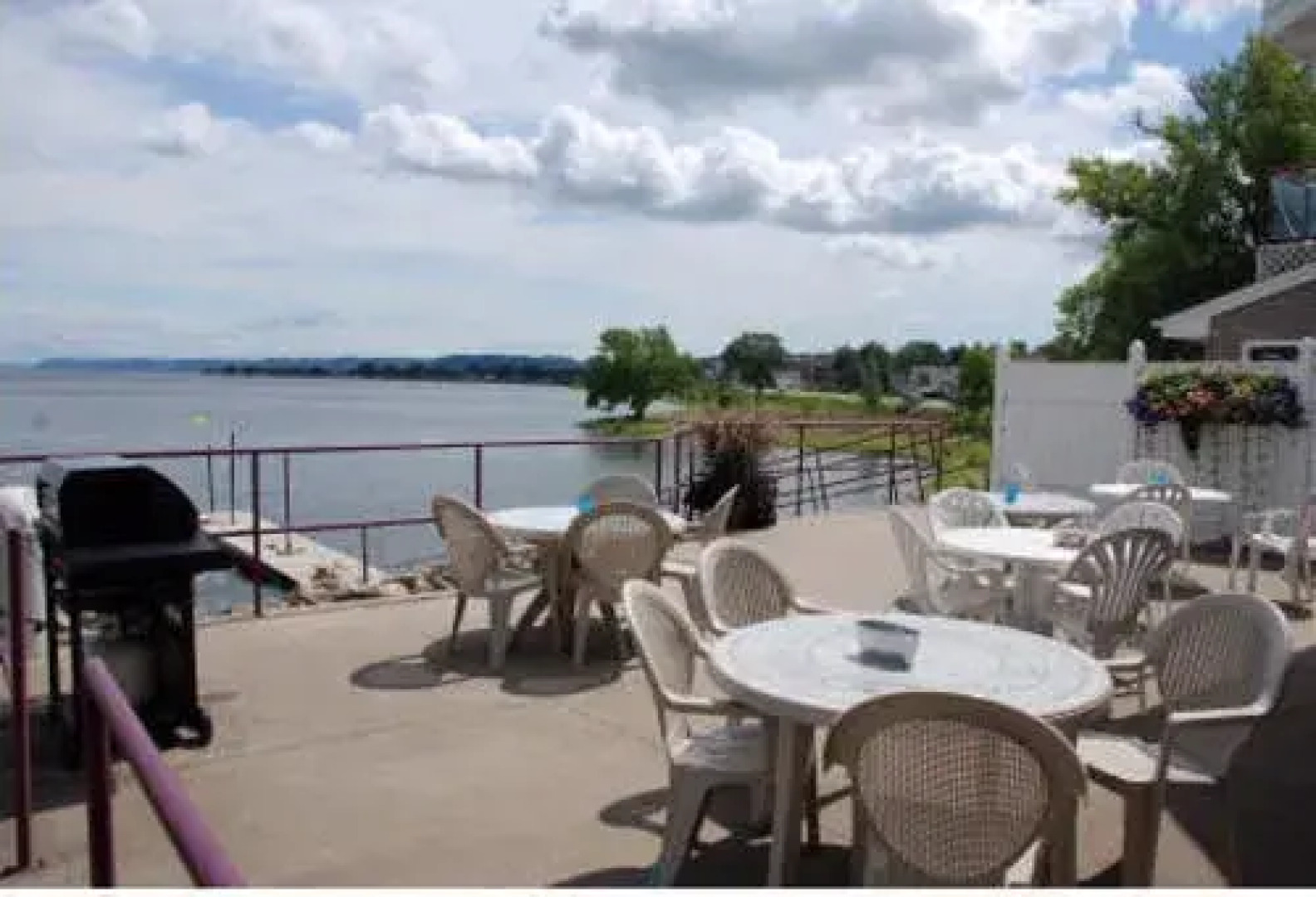 Willows on the River