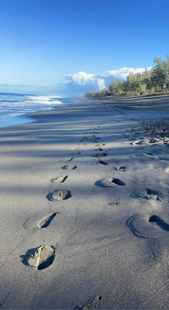 Location saisonnière meublée F2 St Leu face océan à 1 min plage
