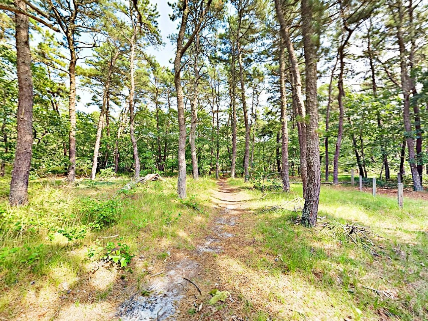 50 Sea Pine Road House 4 Bedrooms 3 Bathrooms Home