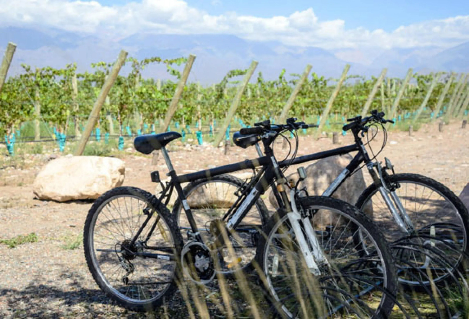 Casa de Huespedes Gimenez Riili