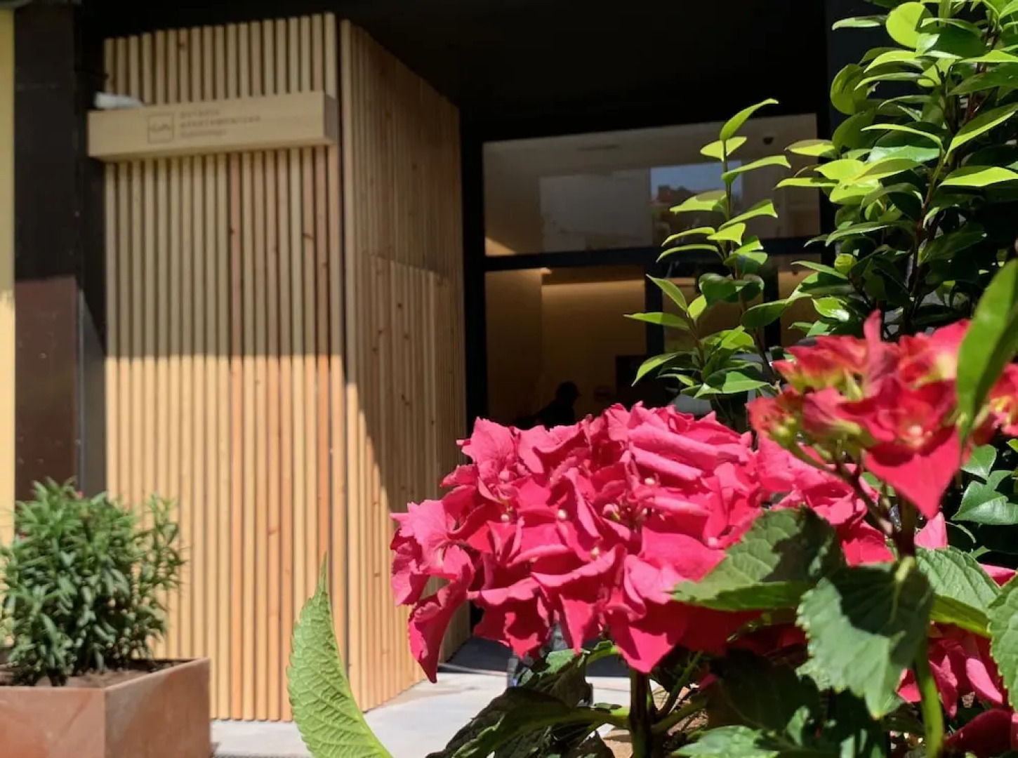 Getaria Apartamentuak Balentziaga