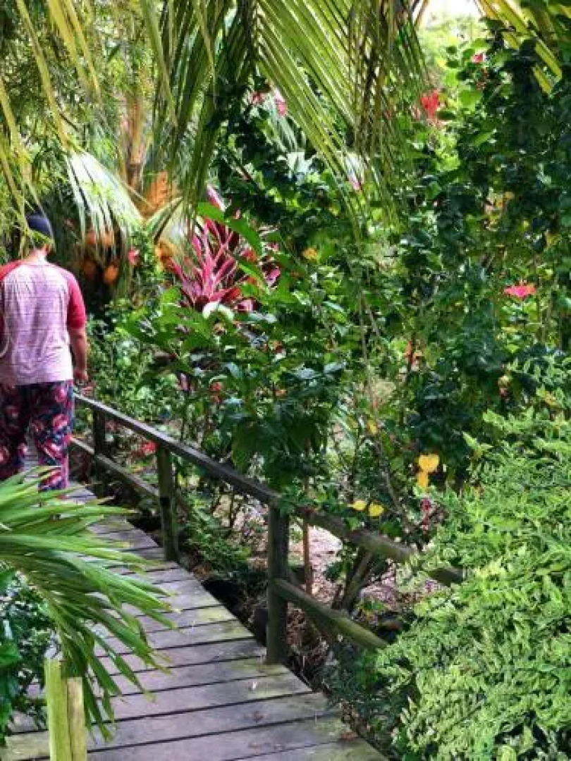 Eat-Sleep-Paddy-Repeat! Country Luxury @ Dorani