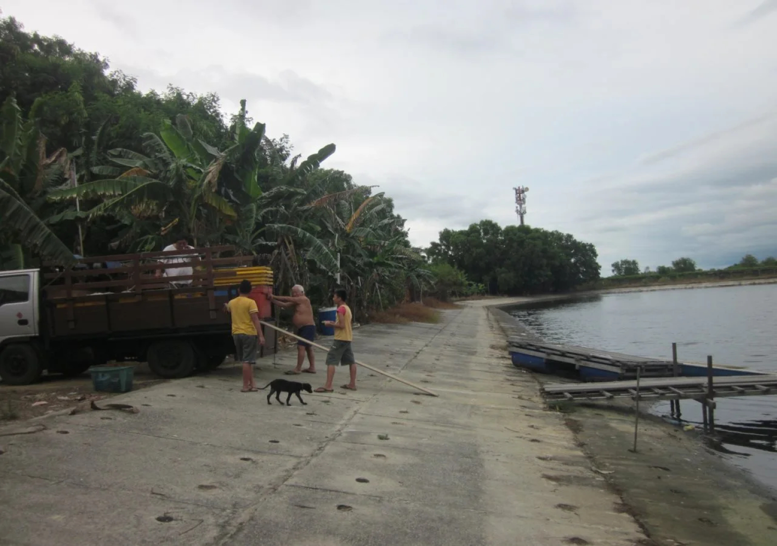 Western Island Hotel