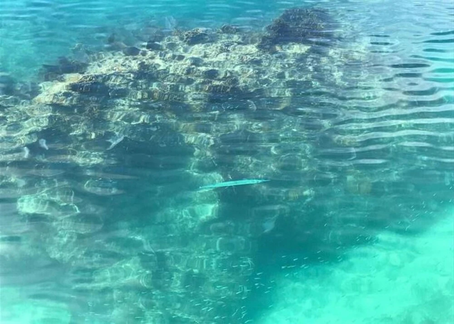 Cupid's Way by Eleuthera Vacation Rentals