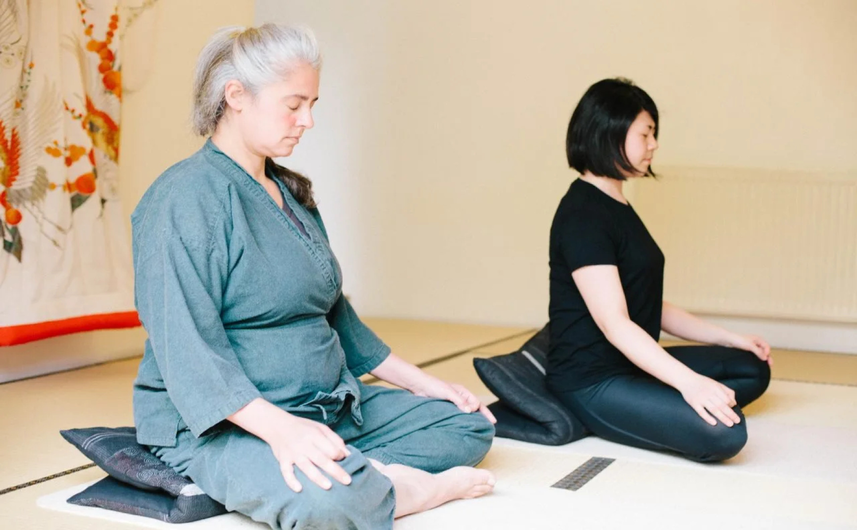 Shizuka Ryokan Japanese Country Spa & Wellness Retreat