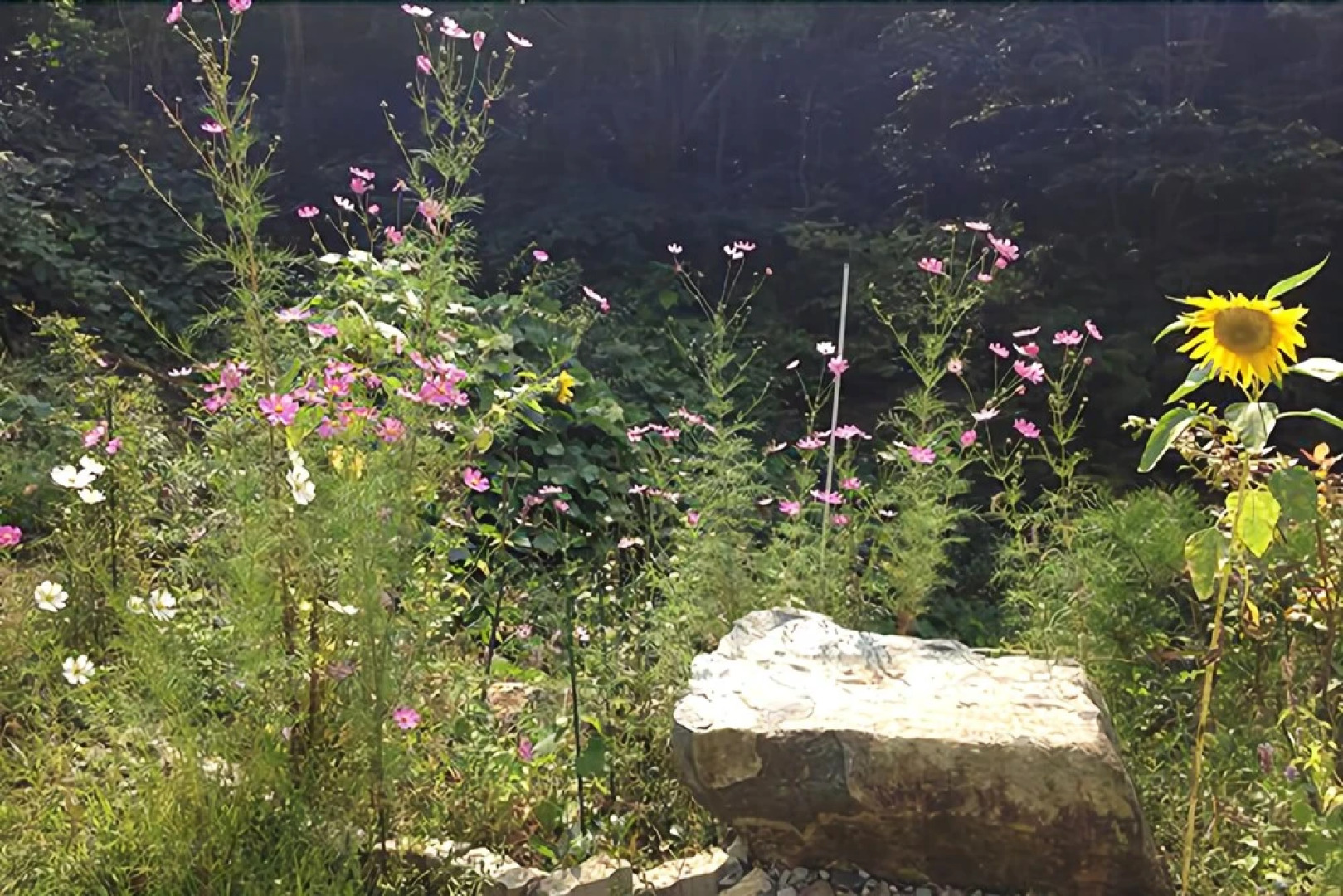 Yangsan Cozy Pension