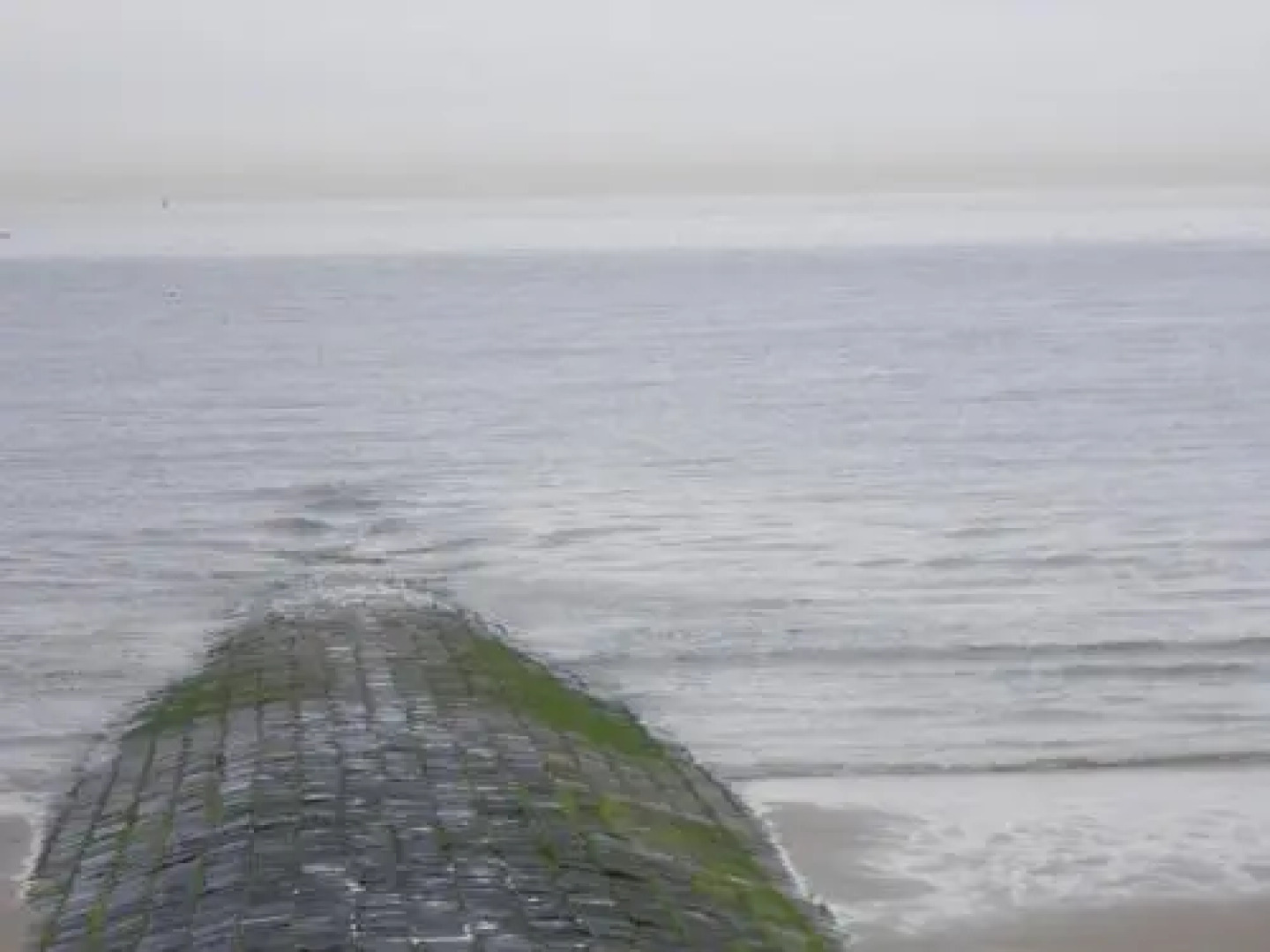Appartement aan Zee Oostende