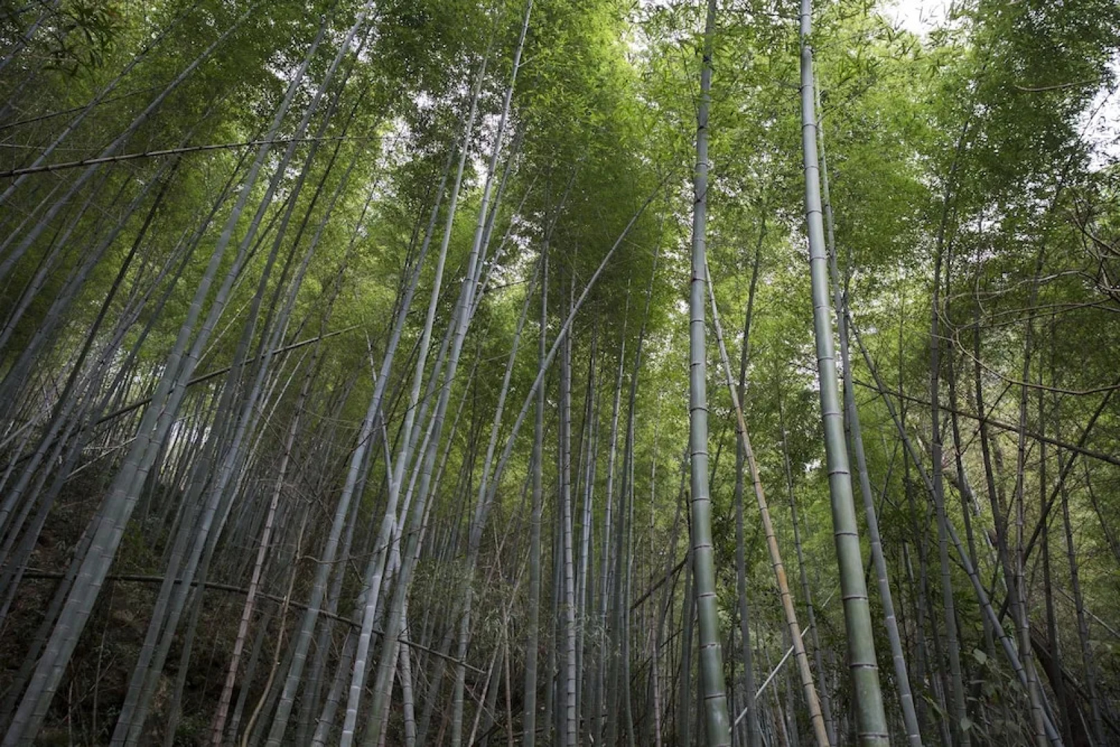 Jiuxi Cloud Valley Hotel