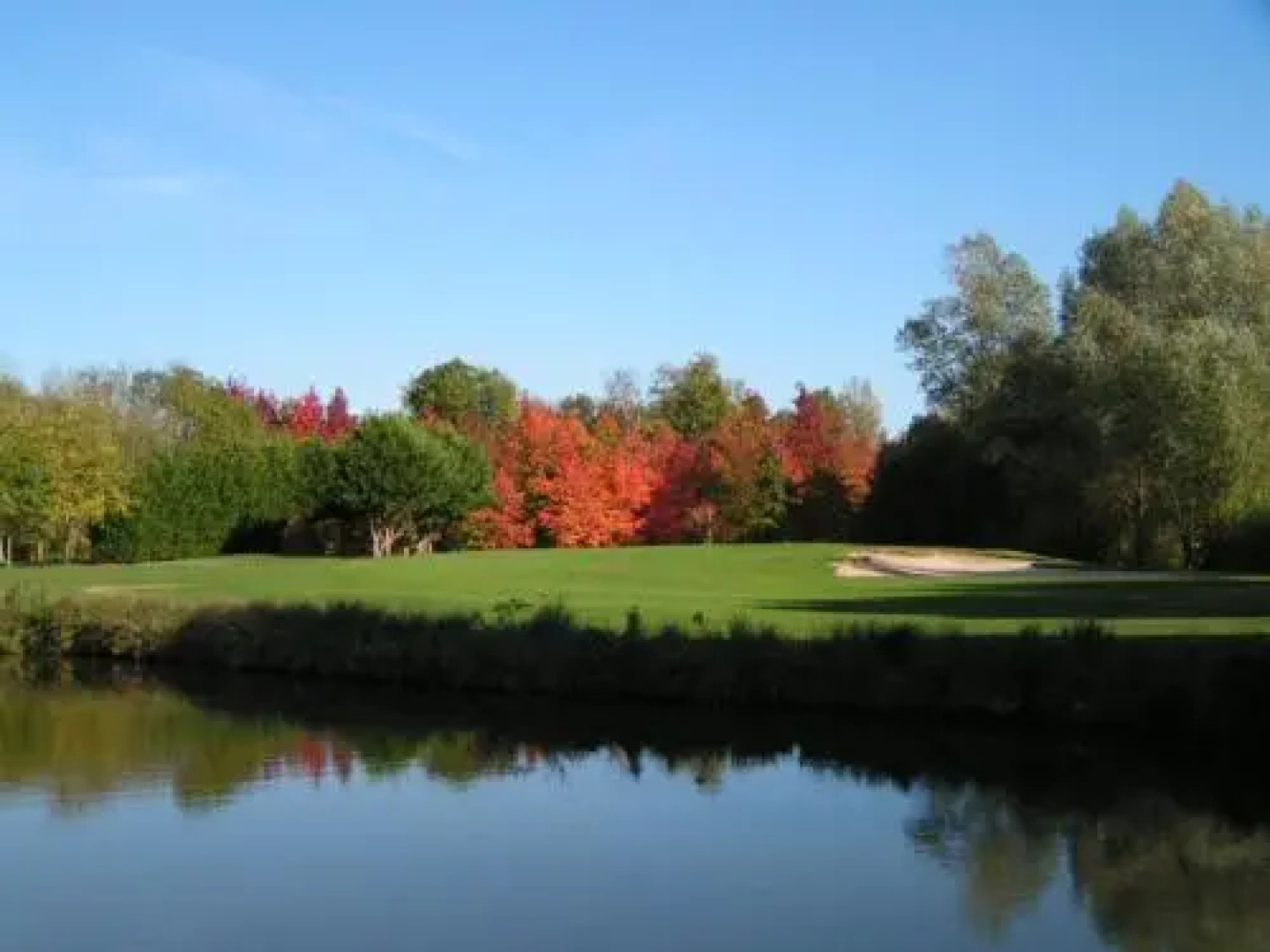 Roulottes de Bois le roi