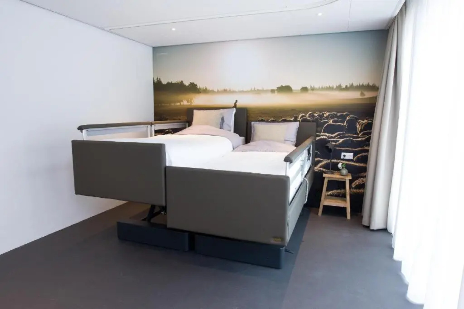 de rode beer (zeer rolstoelgeschikt)