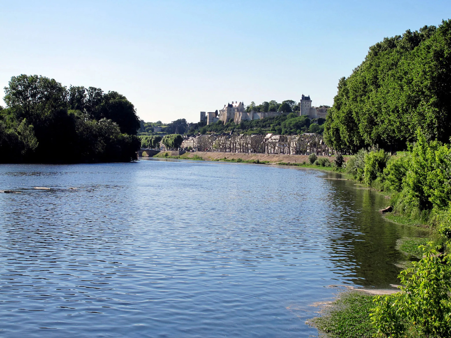 Les Mailloches (REE100)