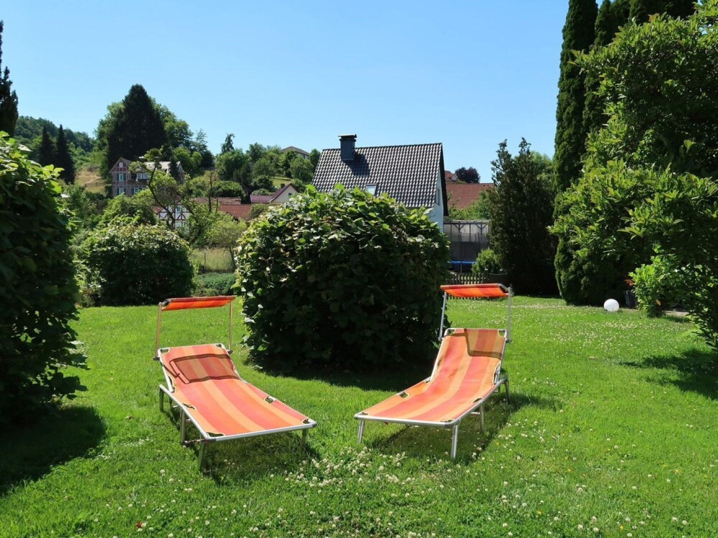 Leon Nentershausen in Nentershausen