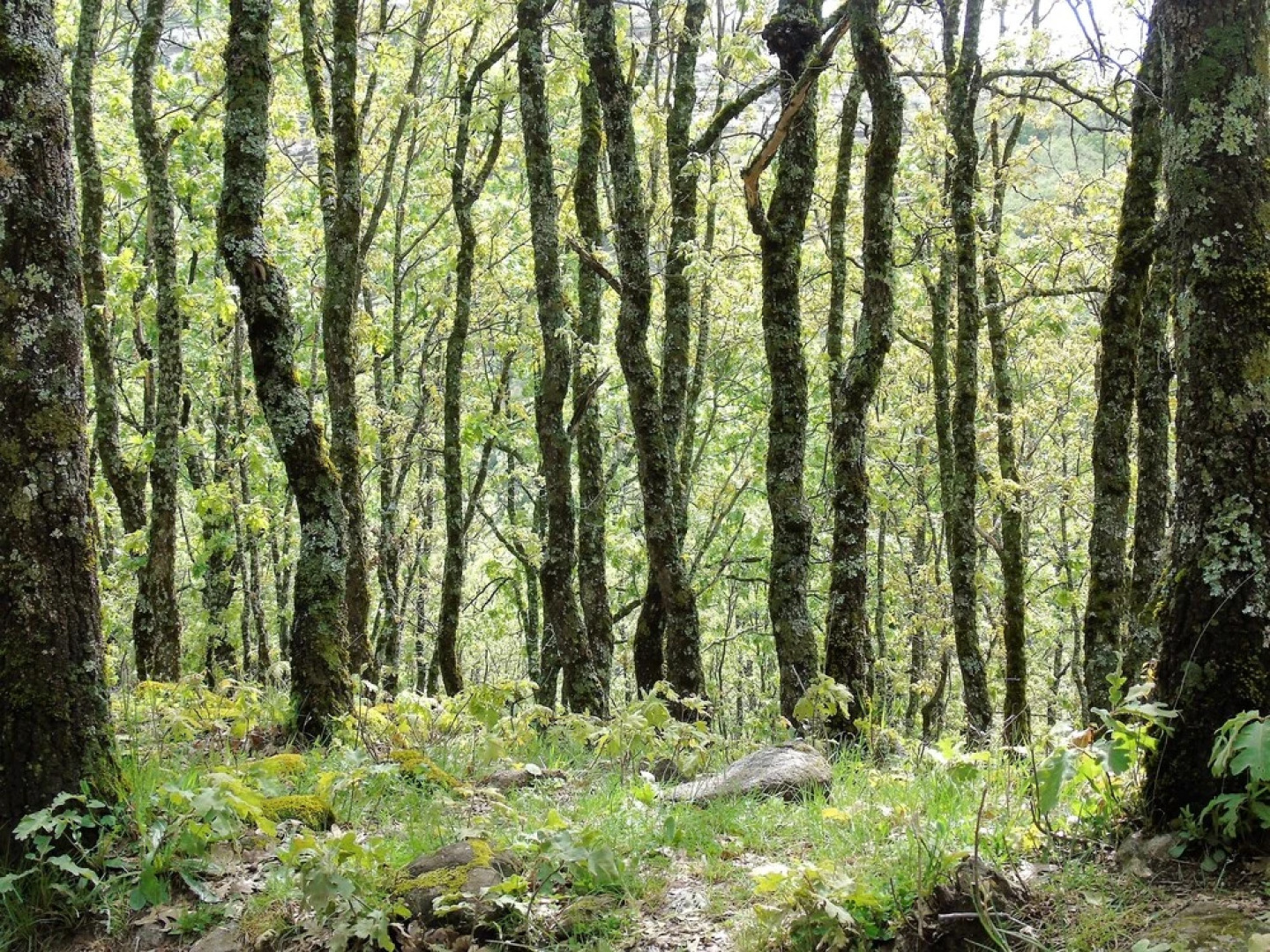 Casa Rural Apartamento La Picota