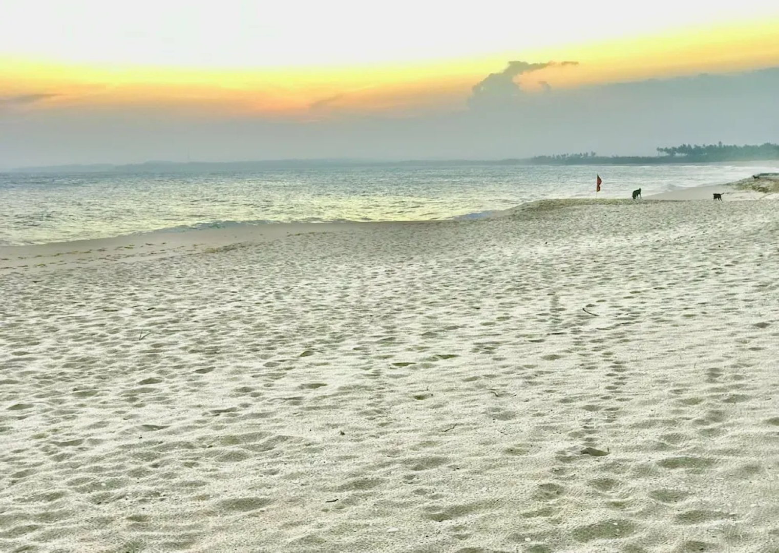Ashansa Lagoon Resort