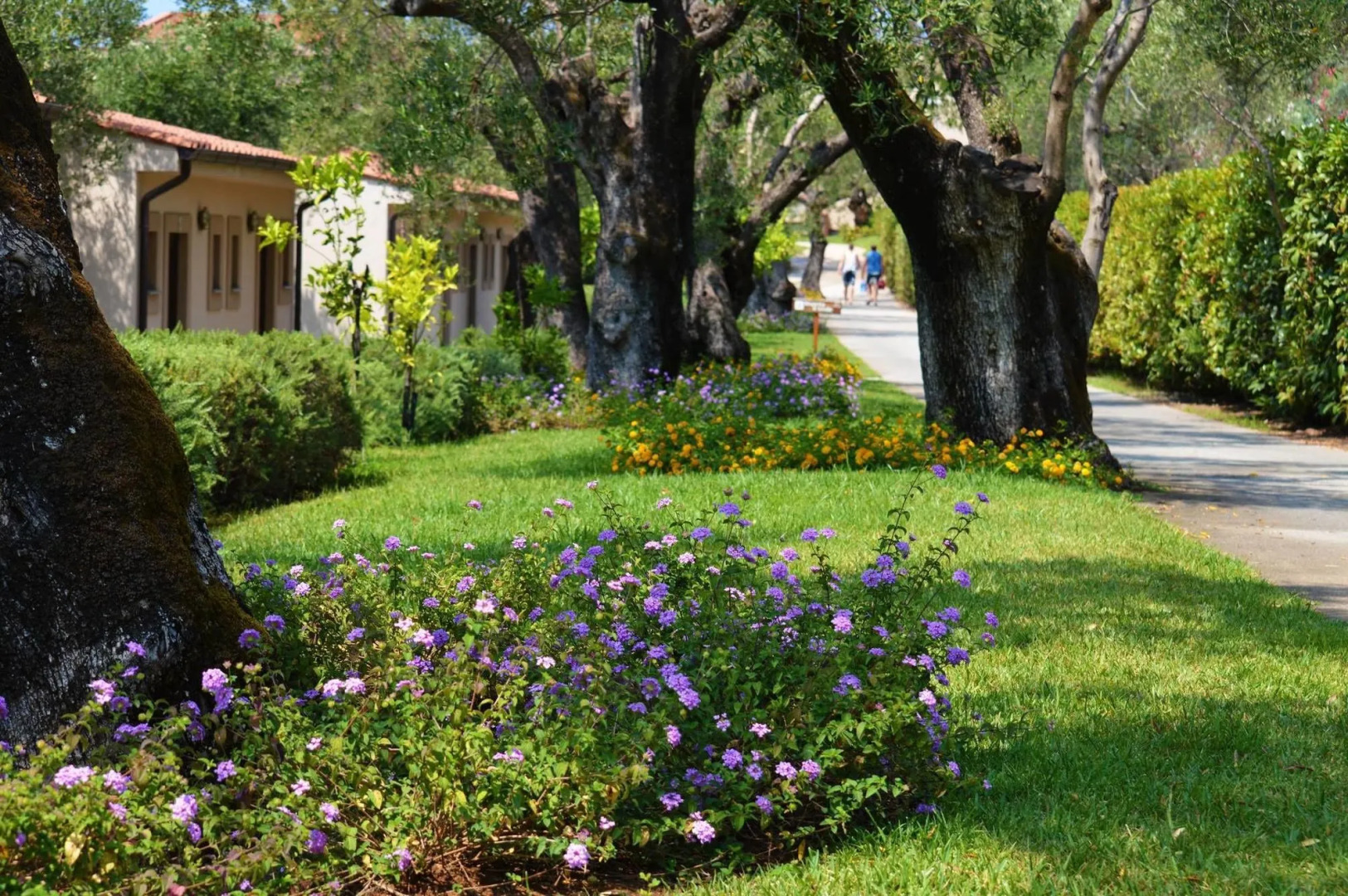 Villaggio Blue Marine