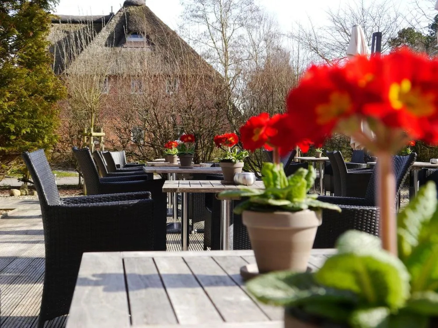 Das Frühstückshotel St. Peter-Ording