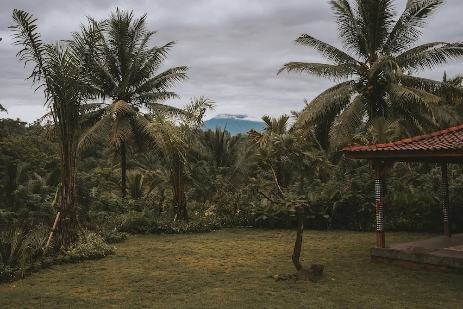 Kusfarm Bali by AHM