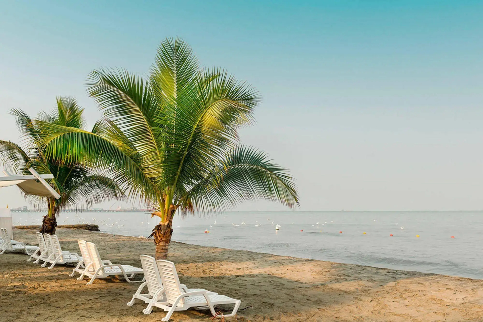 Decameron Galeon - All Inclusive