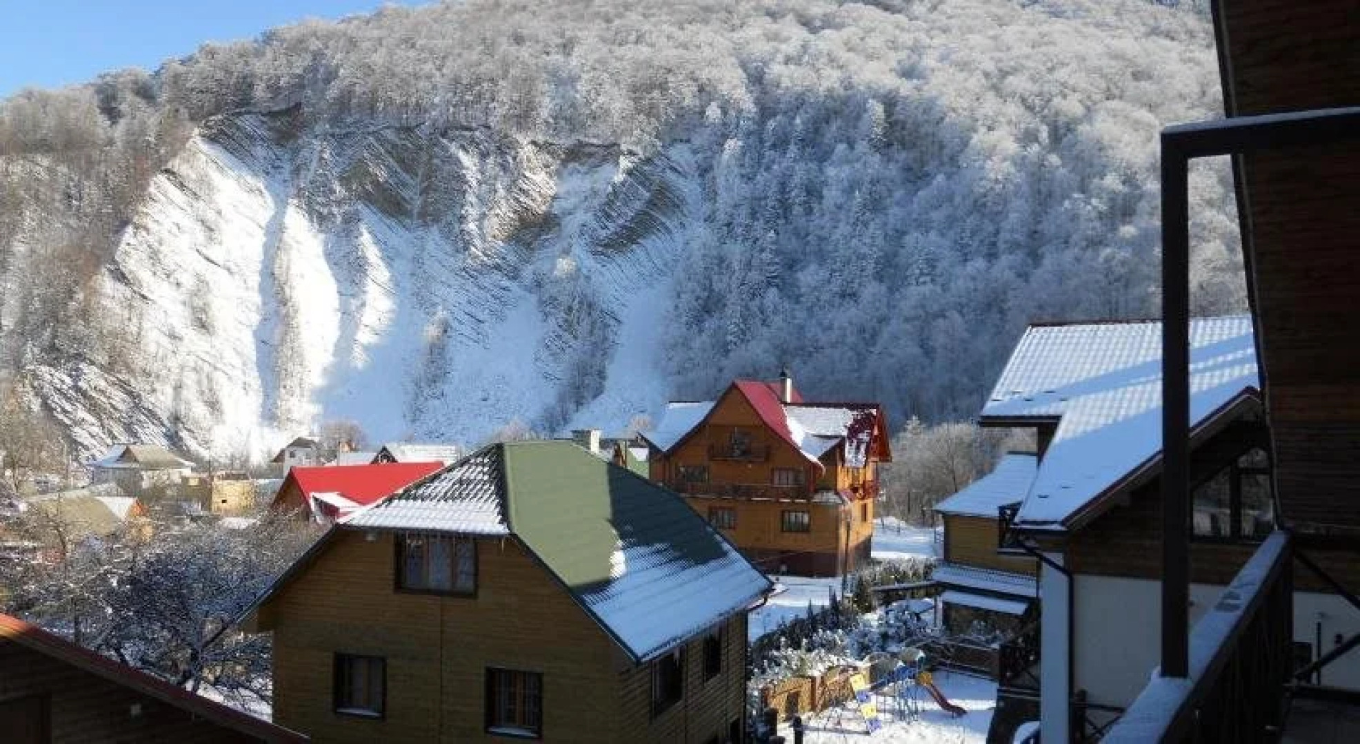 Цвит Папороти