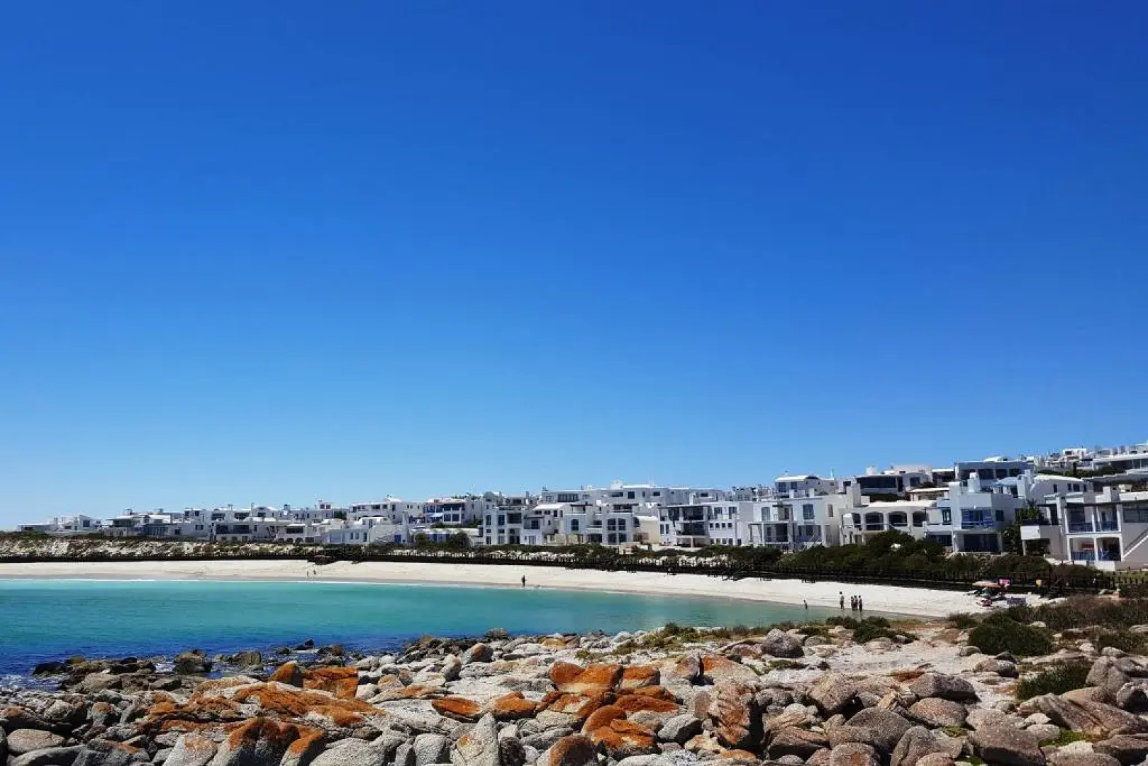 Zeewolf Langebaan
