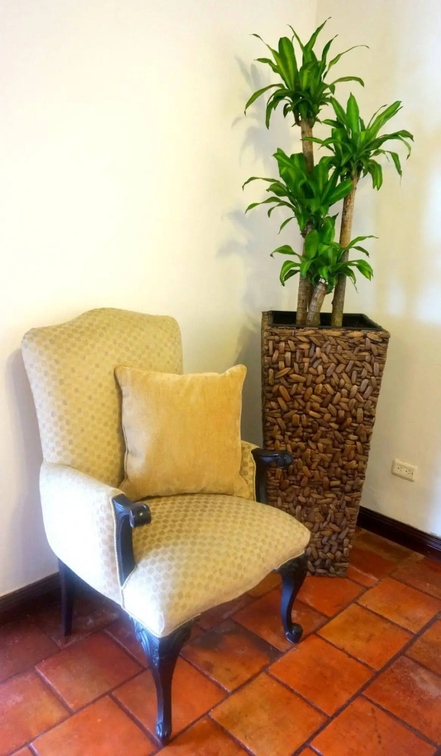 Urban Hotel Boutique