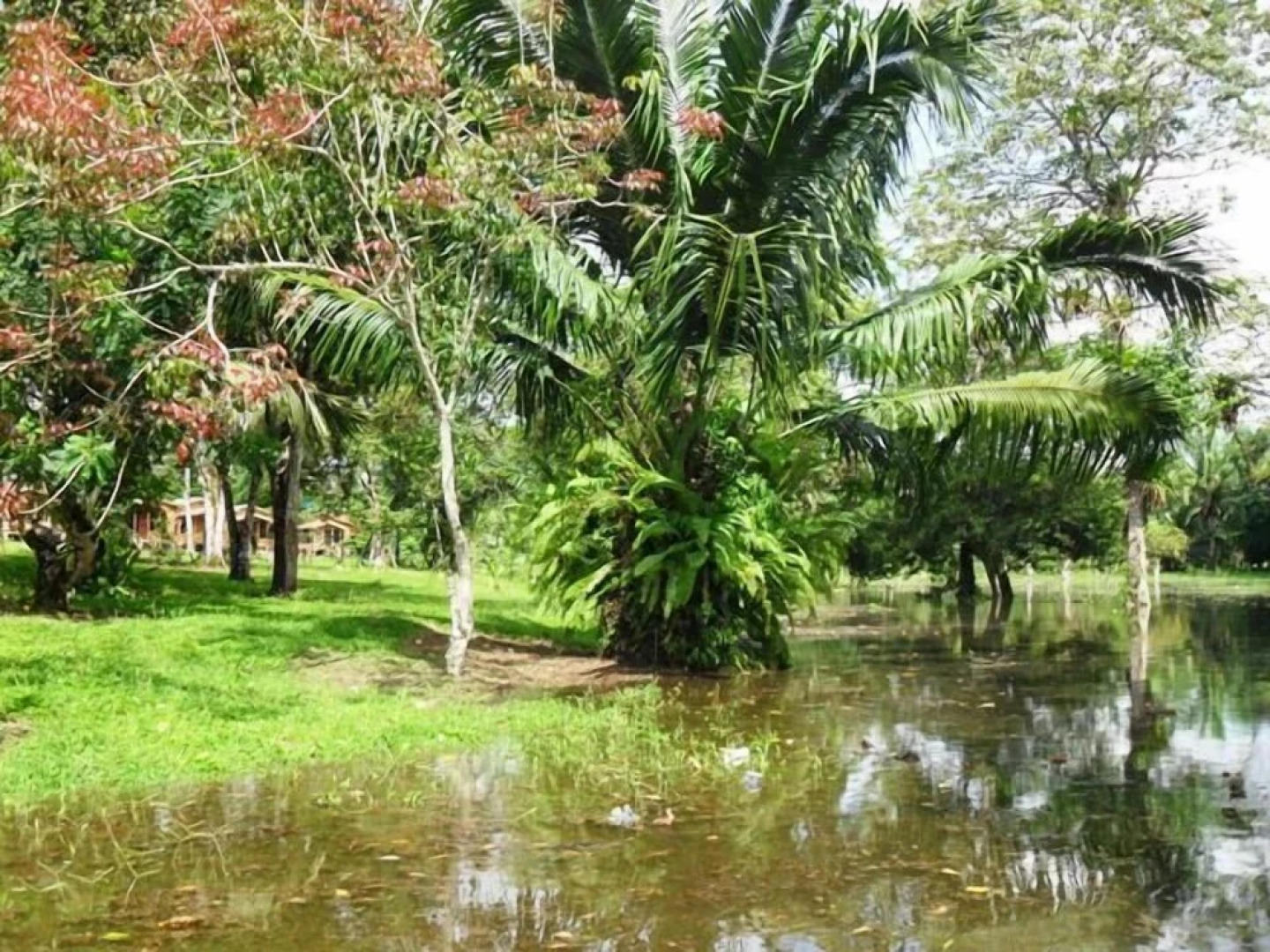 Caño Negro Wetlands Lodge