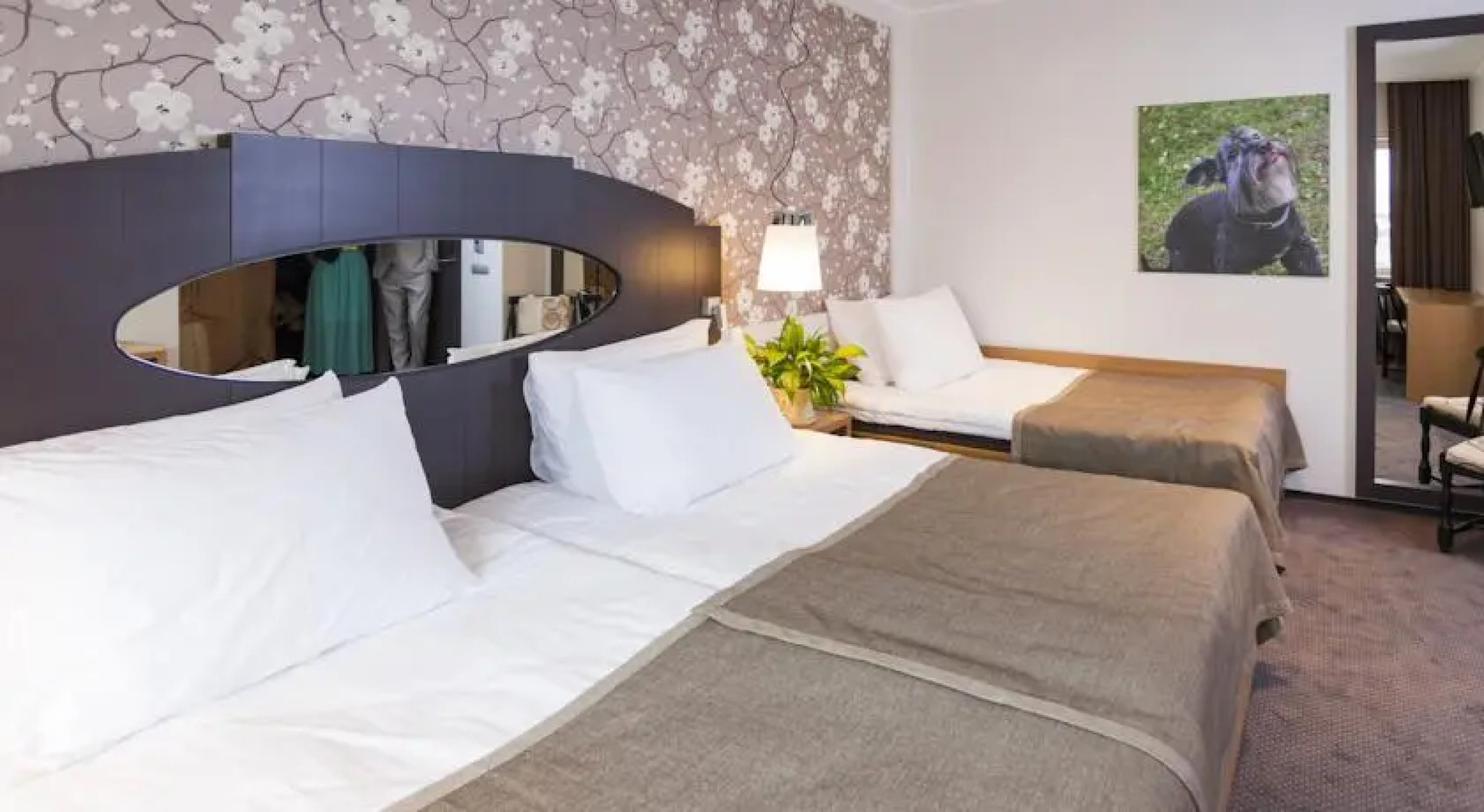 Nelja Kuninga Hotell