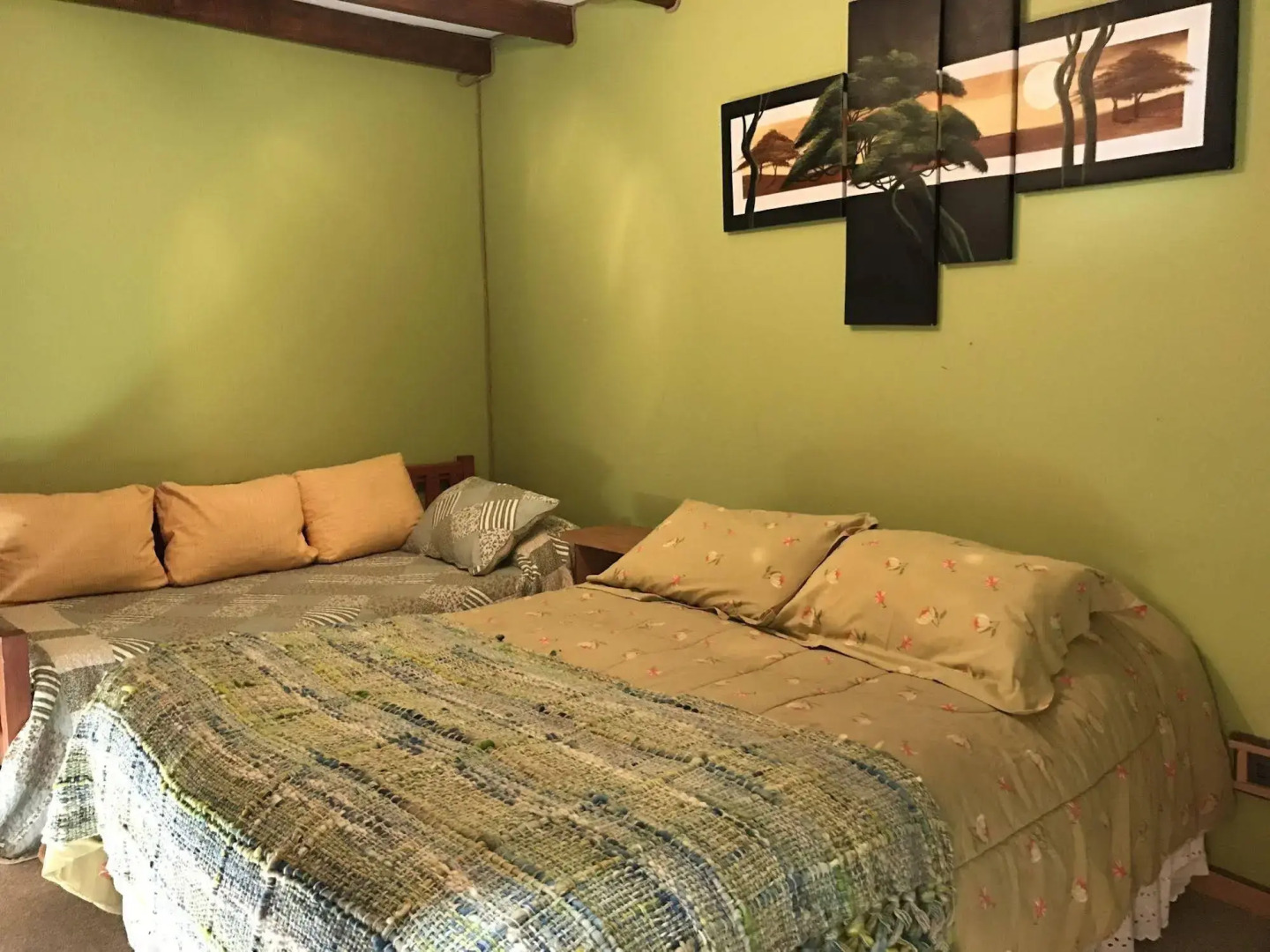 Cabañas Pewma Futrono