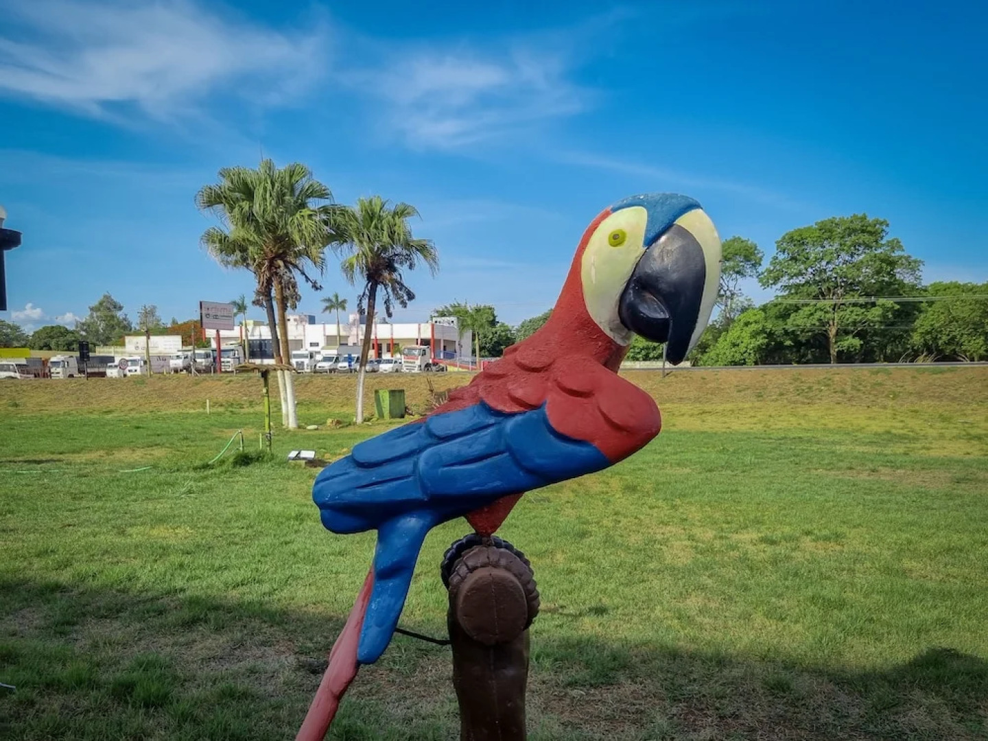Hotel Marion Pantanal