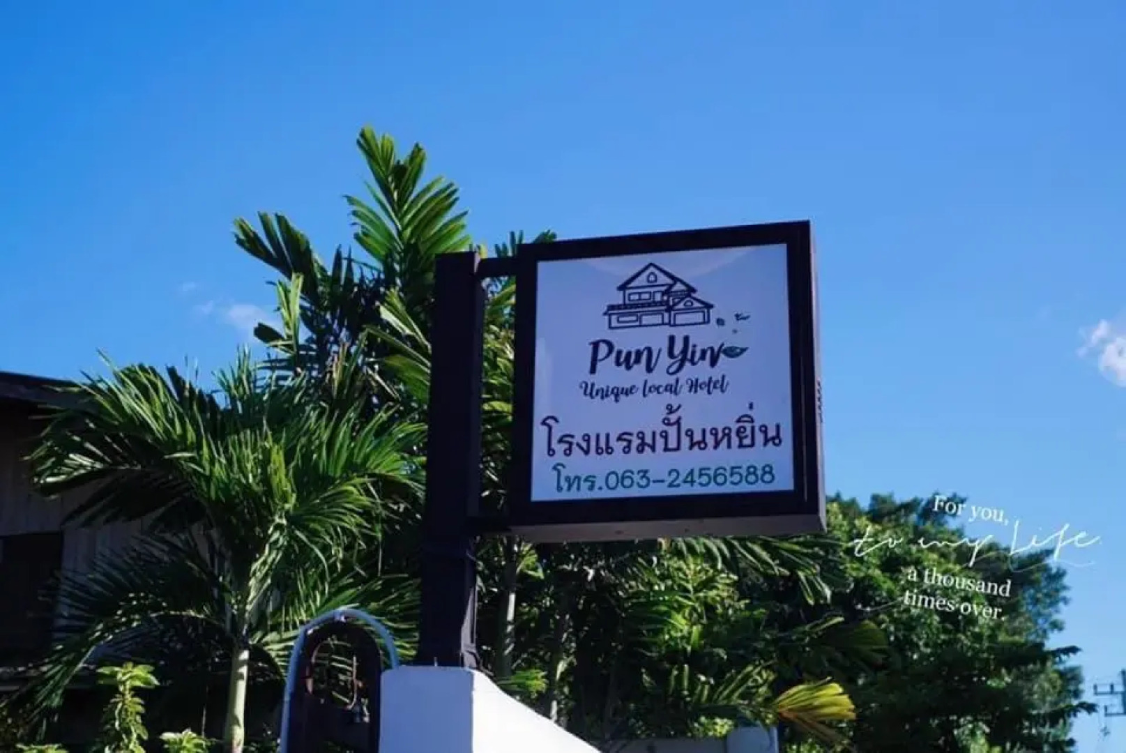 punyin hotel @inthanon