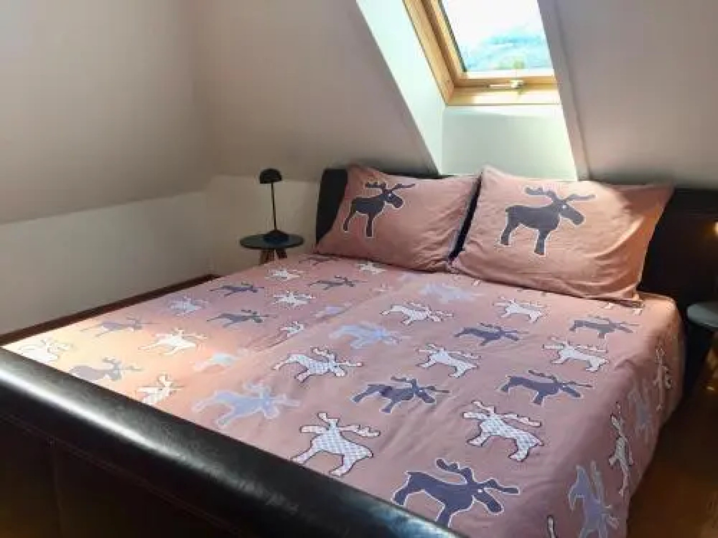 56er Herzog Apartments