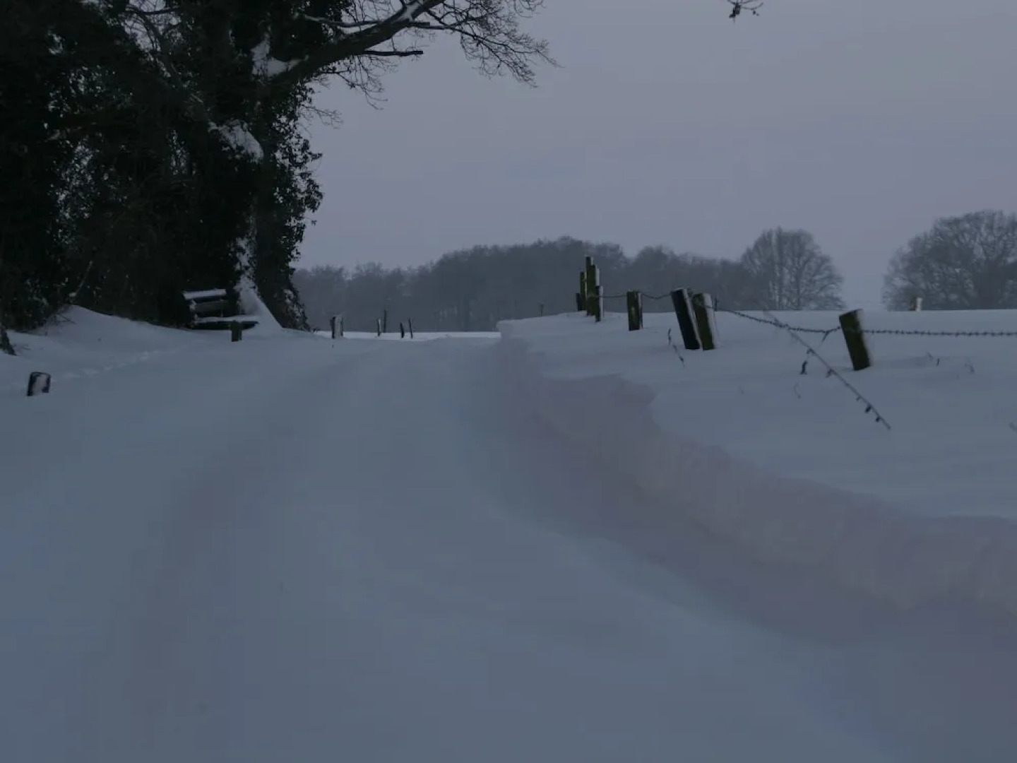 Cosy Chalet With gas Fireplace in Twente