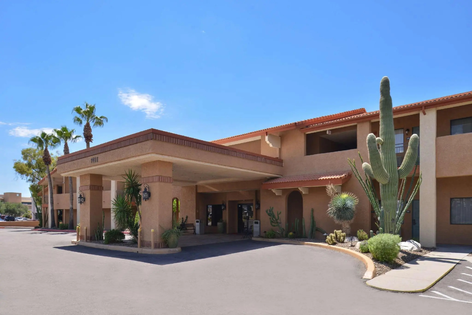 3 Palms Tucson North Foothills