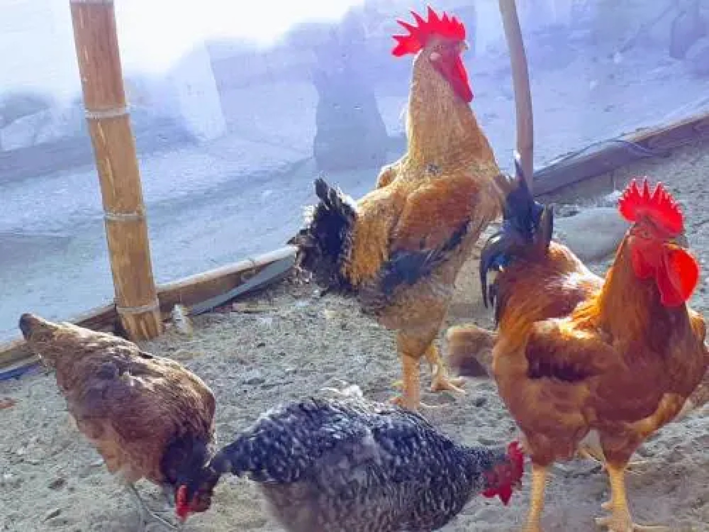 Casa Veraneras Playas