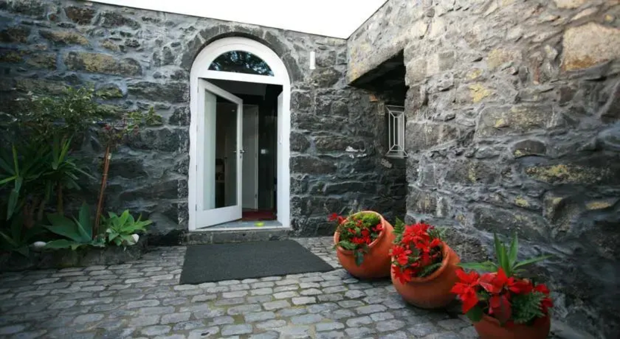 Casa da Árvore