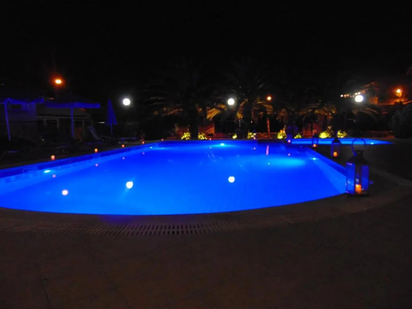 Apollon ex. Albatros