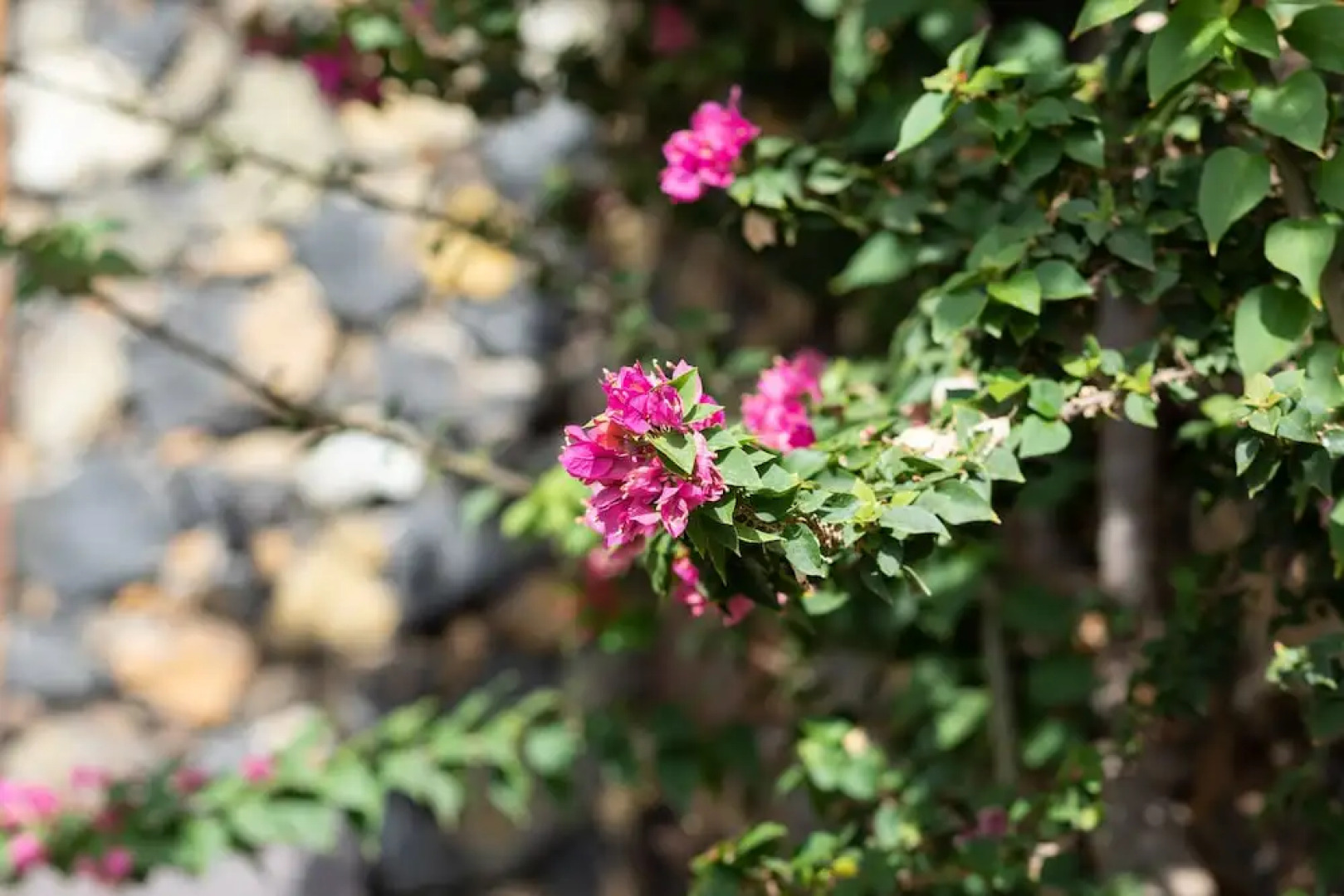 HomeLike Charming Rustic House El Pinar