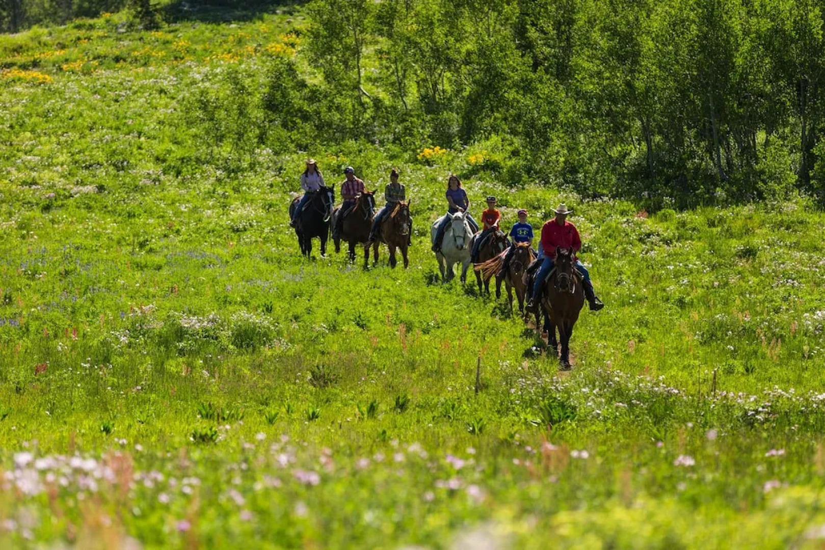 Sioux Lodge by Grand Targhee Resort