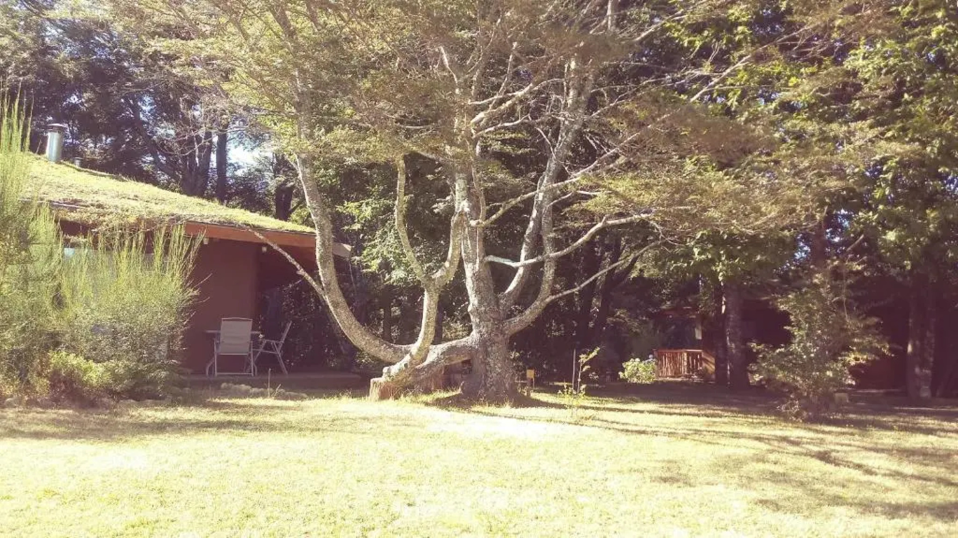 Complejo Cabañas Quilamalen