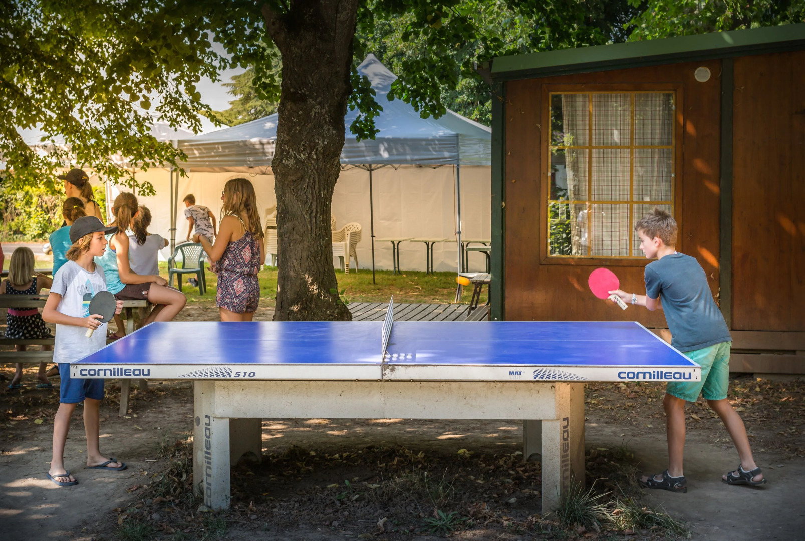 Le Domaine du Cèdre